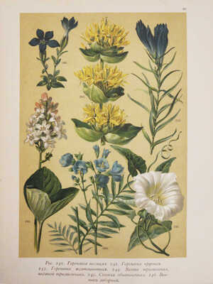 Гофман К. Ботанический атлас по системе де-Кандоля. СПб.: Издание А.Ф. Девриена, 1897.